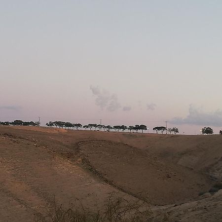 Desert Sunrise Arad Hotel Bagian luar foto
